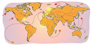 Flujos de Inversión Directa: Mapa Global de Oportunidades